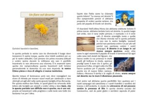 Un Fiore Nel Deserto Lettera Ai Bambini E Alle Bambine Parrocchia San Bernardo Da Chiaravalle